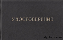 Интернатура Интернатура